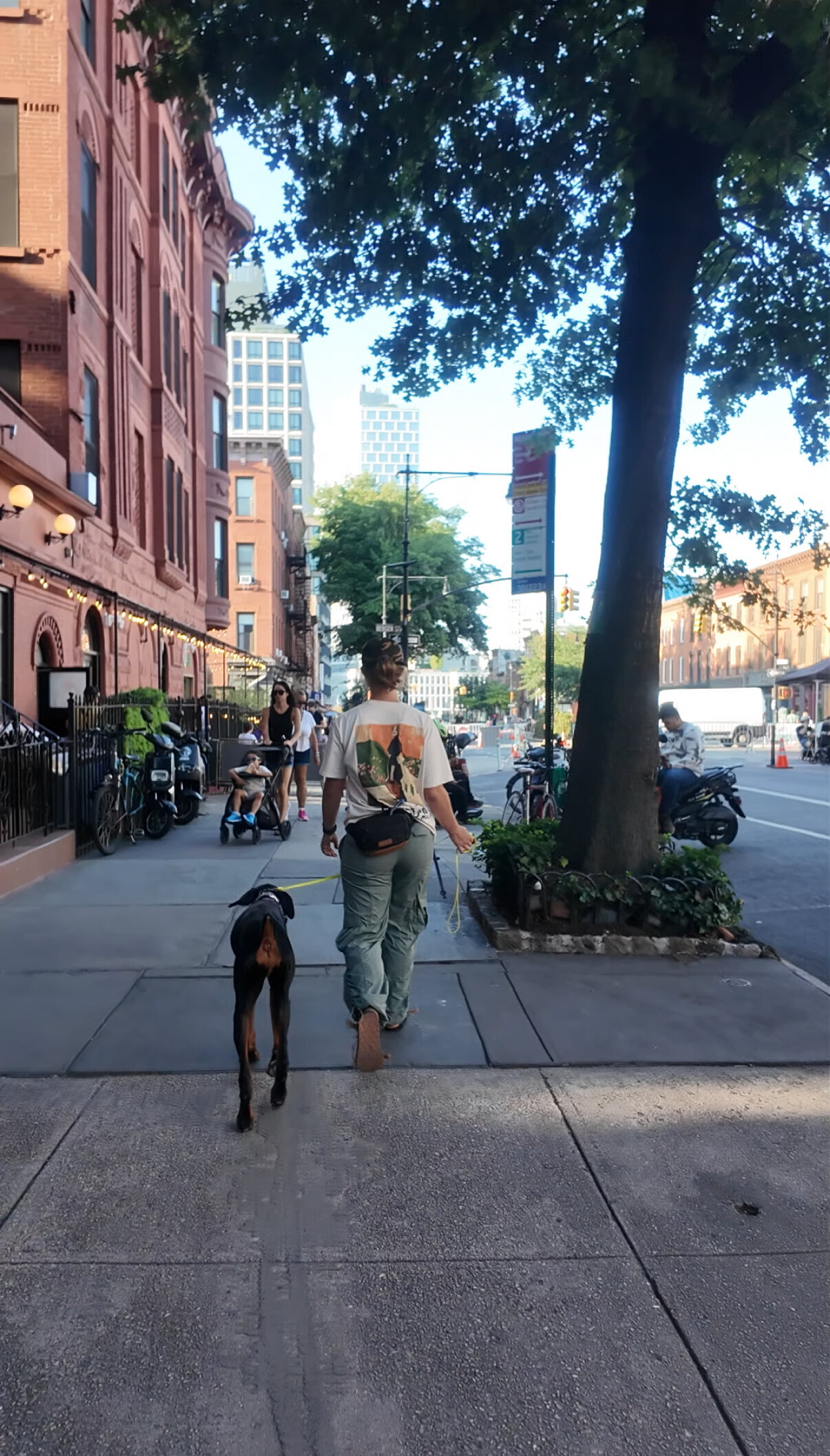 A handler walking a Doberman on a loose leash down a brownstone-lined street